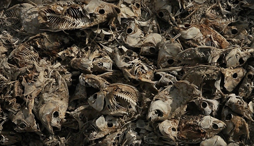 Fino al 30.XI.2016 | Arash Radpour, Domenico Balsamo, Enzo Distinto | Dino Morra Arte Contemporanea, Napoli